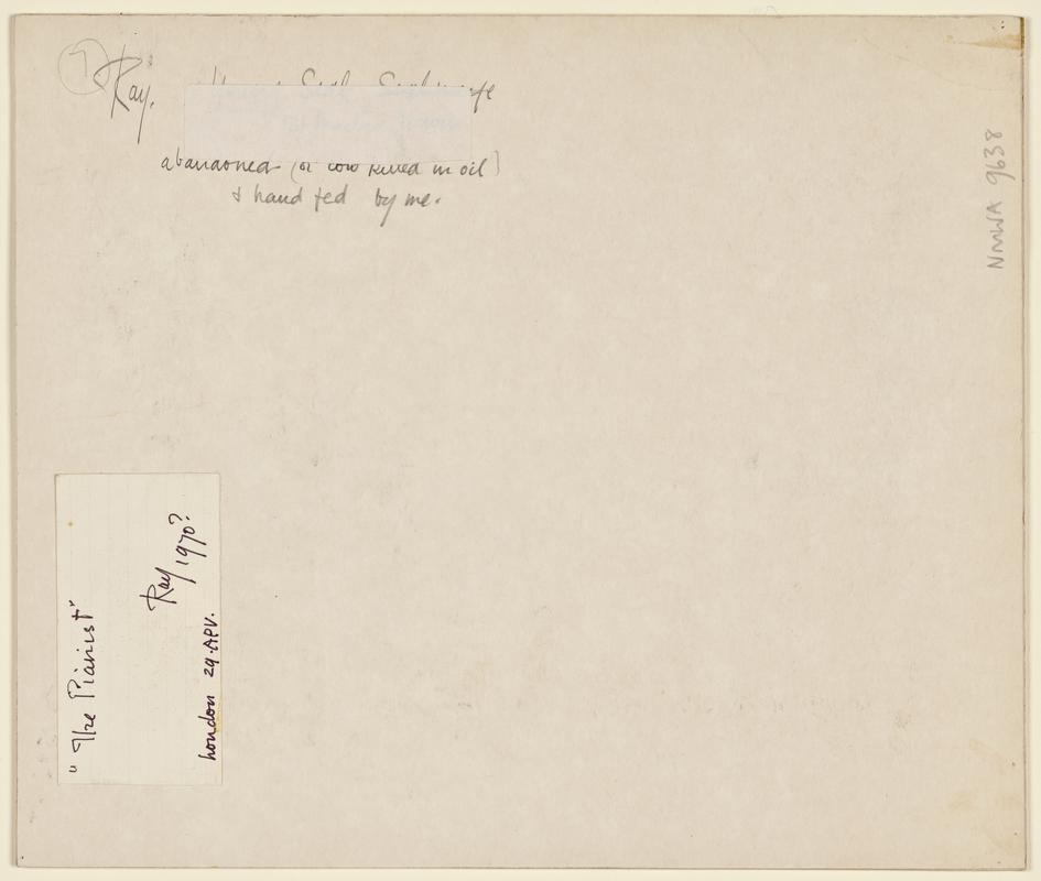 The Pianist (Alberto Portugheis)