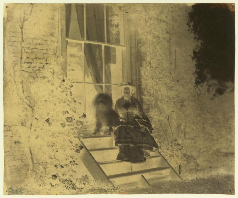 Brome Hall, Suffolk, negative