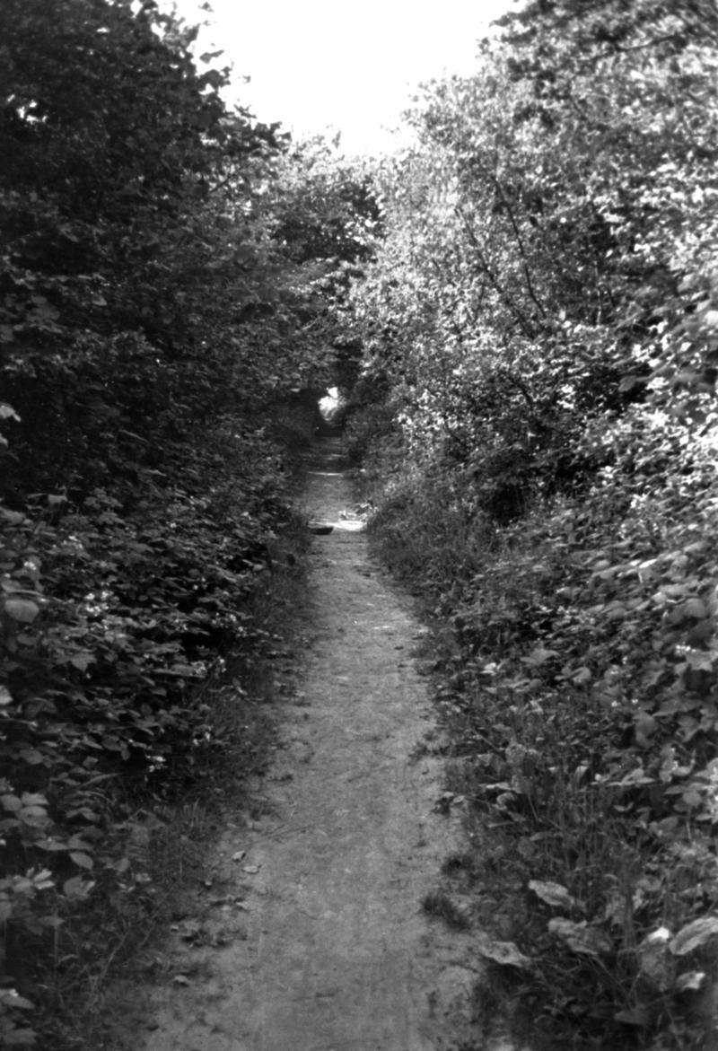 Thomas Chapel tramroad, Saundersfoot, photograph
