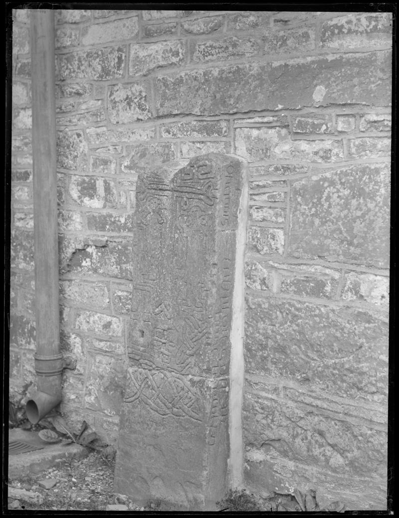 Photographic Negative