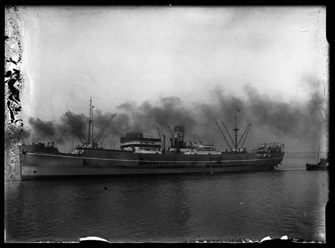 S.S. HARCALO, glass negative