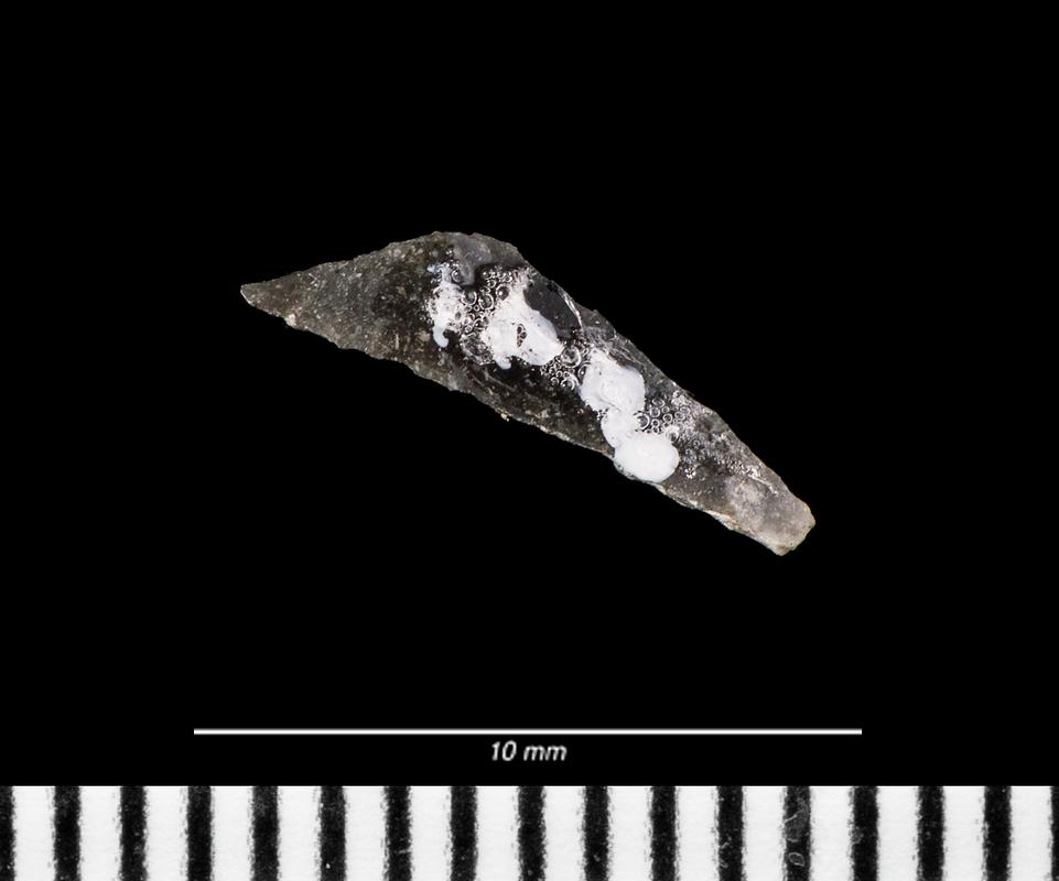 Mesolithic flint microlith