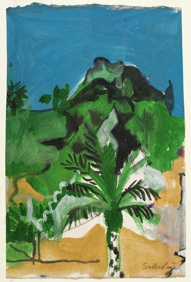 Palm in a landscape