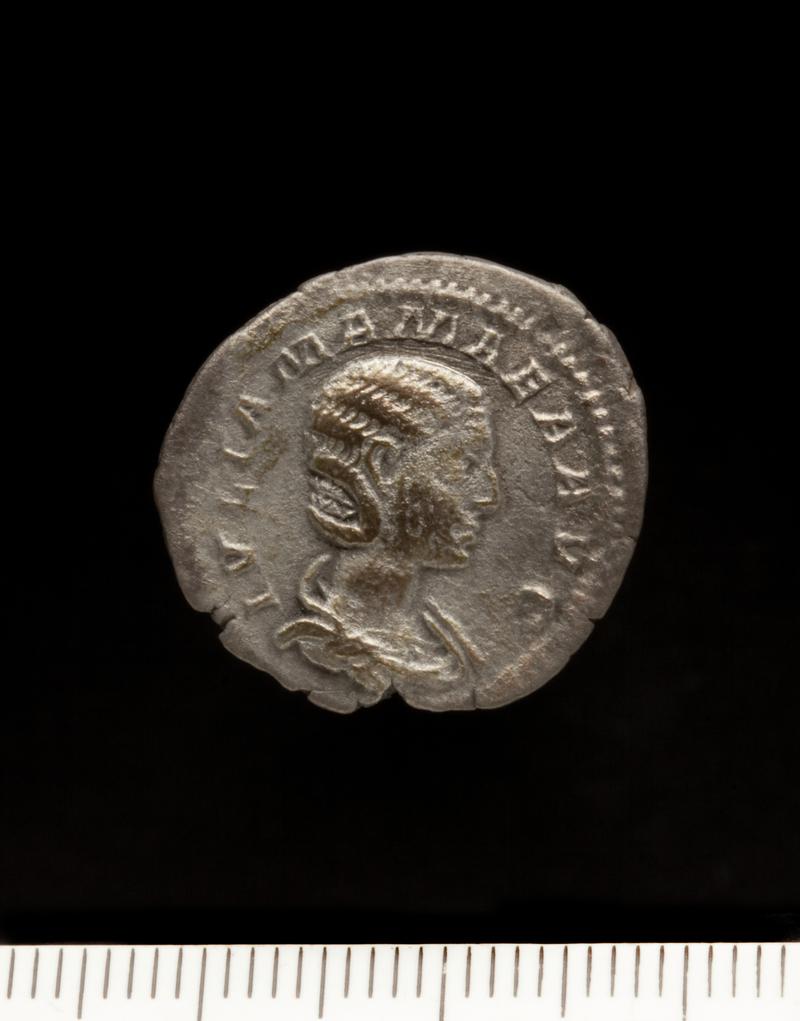 Sully Hoard I (1899) Denarius Julia Mamaea