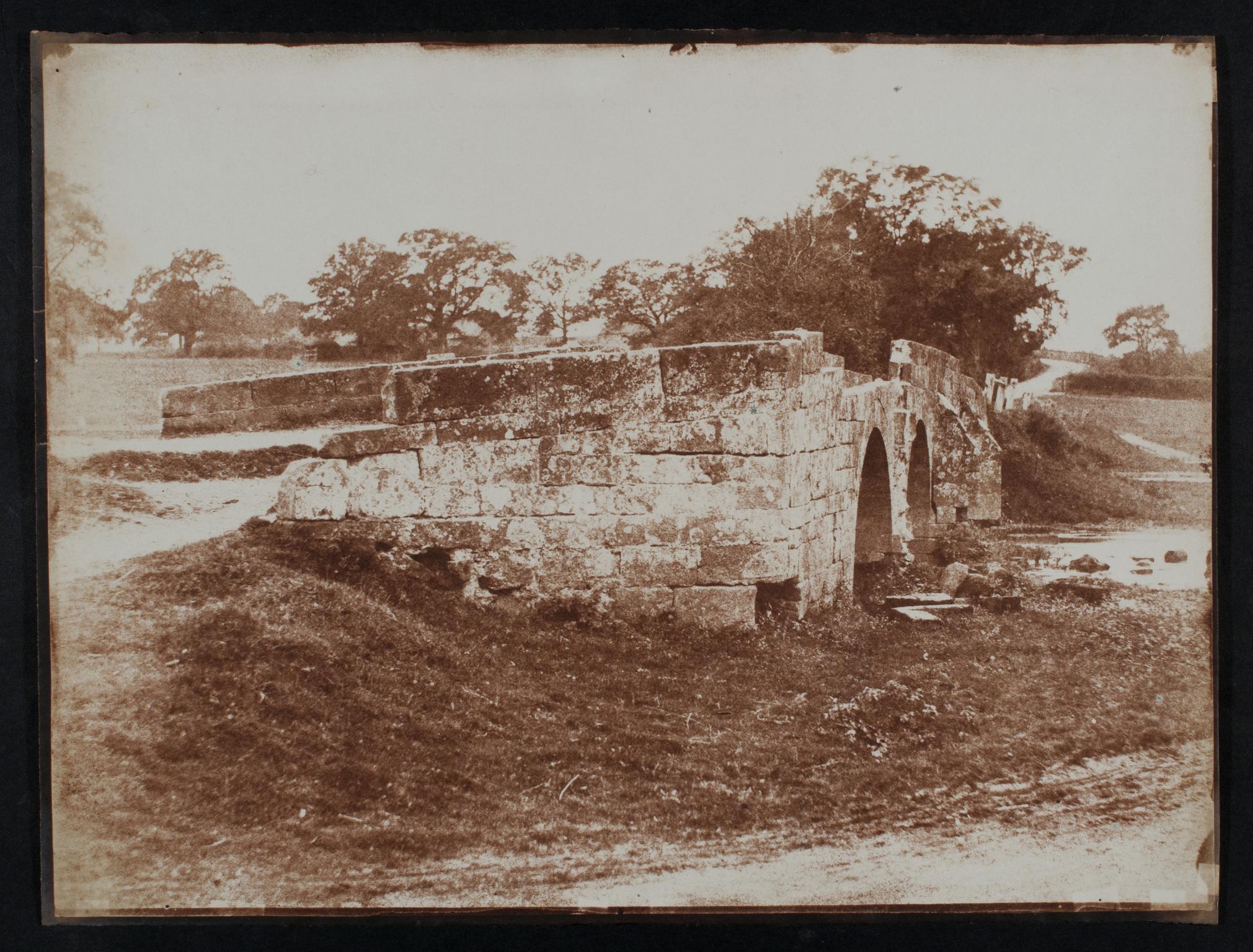 Bridge, photograph