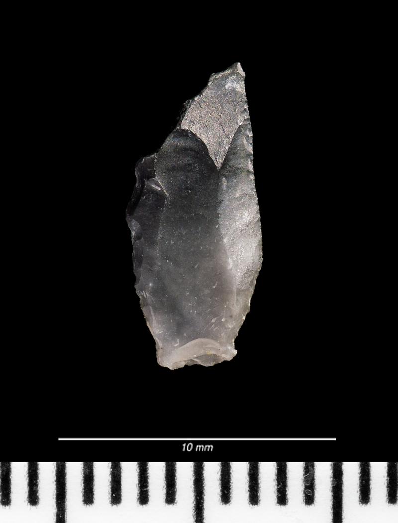 Mesolithic flint microlith