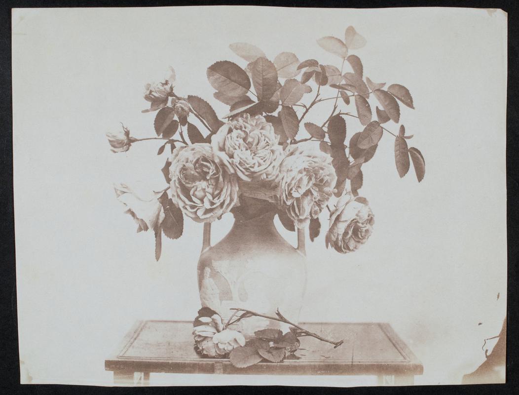 vase with roses