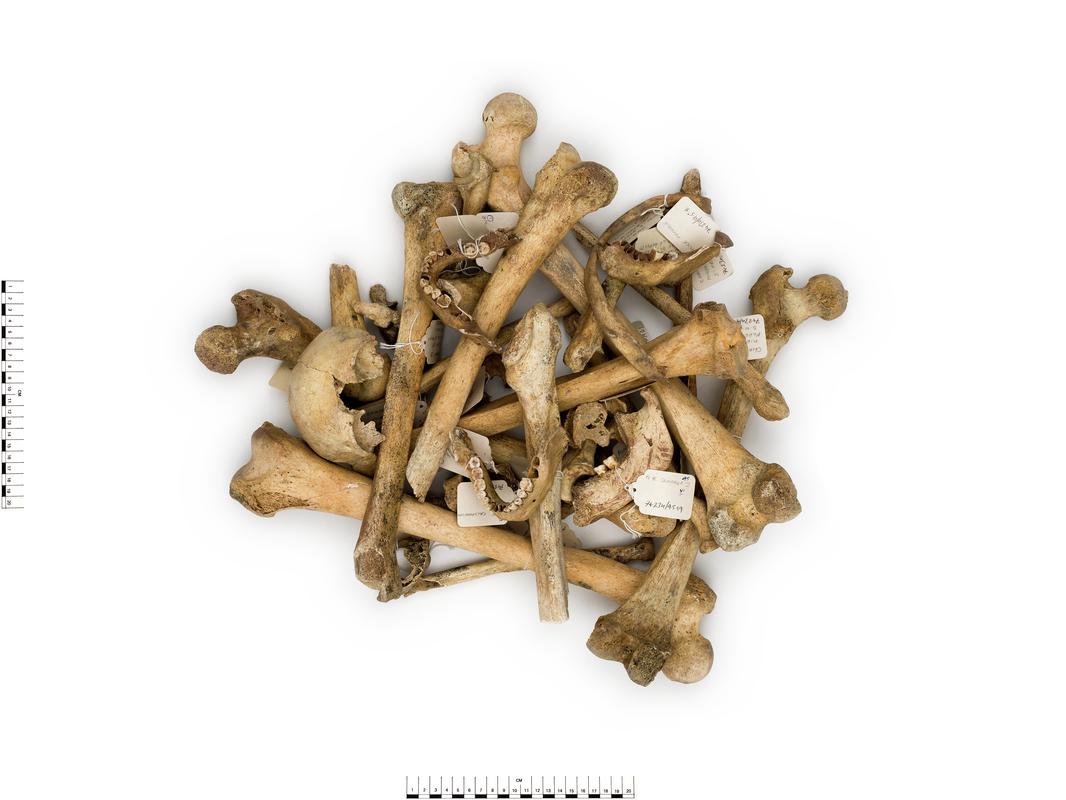 Neolithic human remains