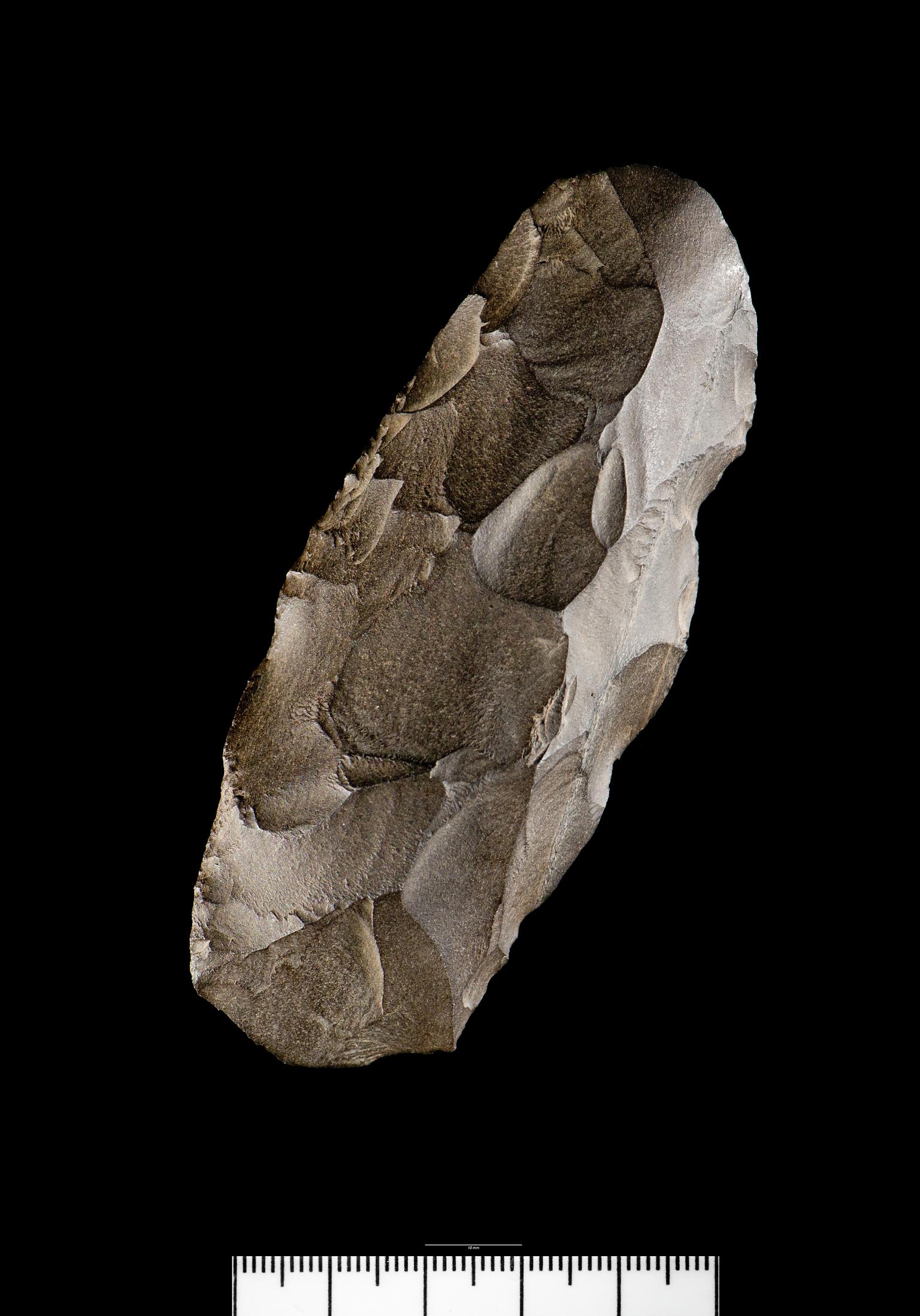 Early Mesolithic chert adze