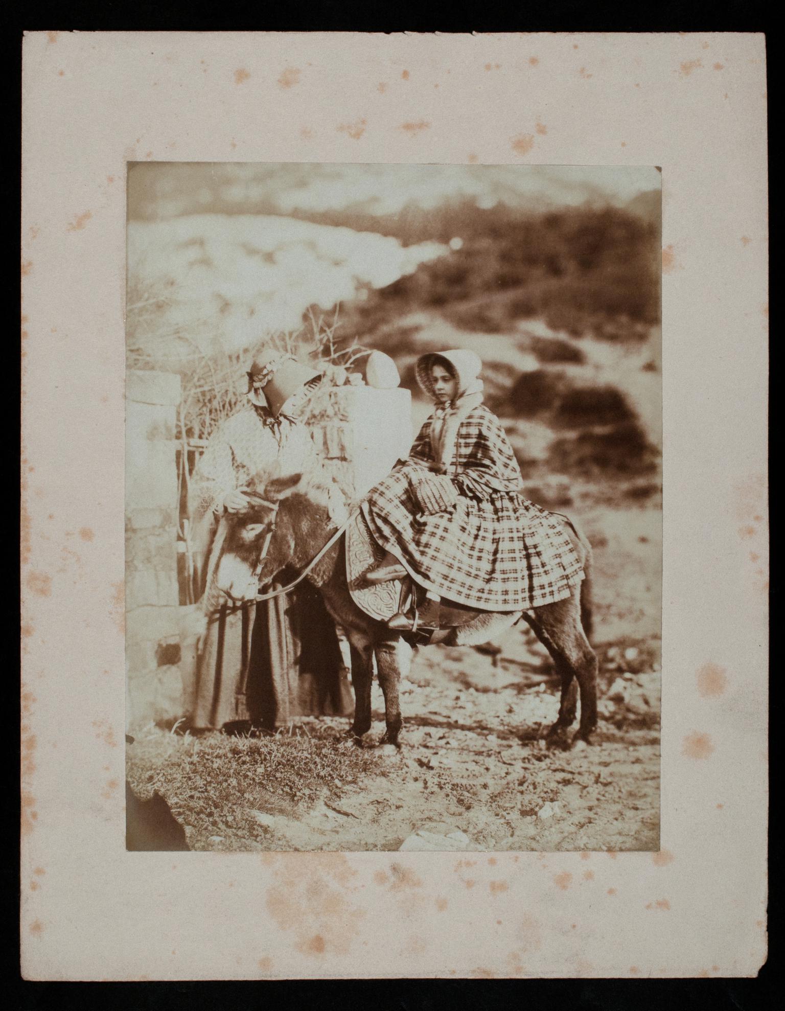 The Donkey party at Caswell, photograph