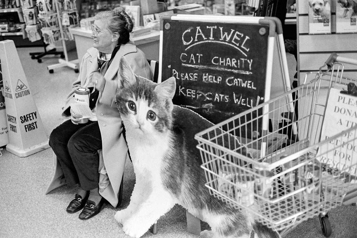 GB. WALES. Cardiff. Charity for cats in a major store. 1999.