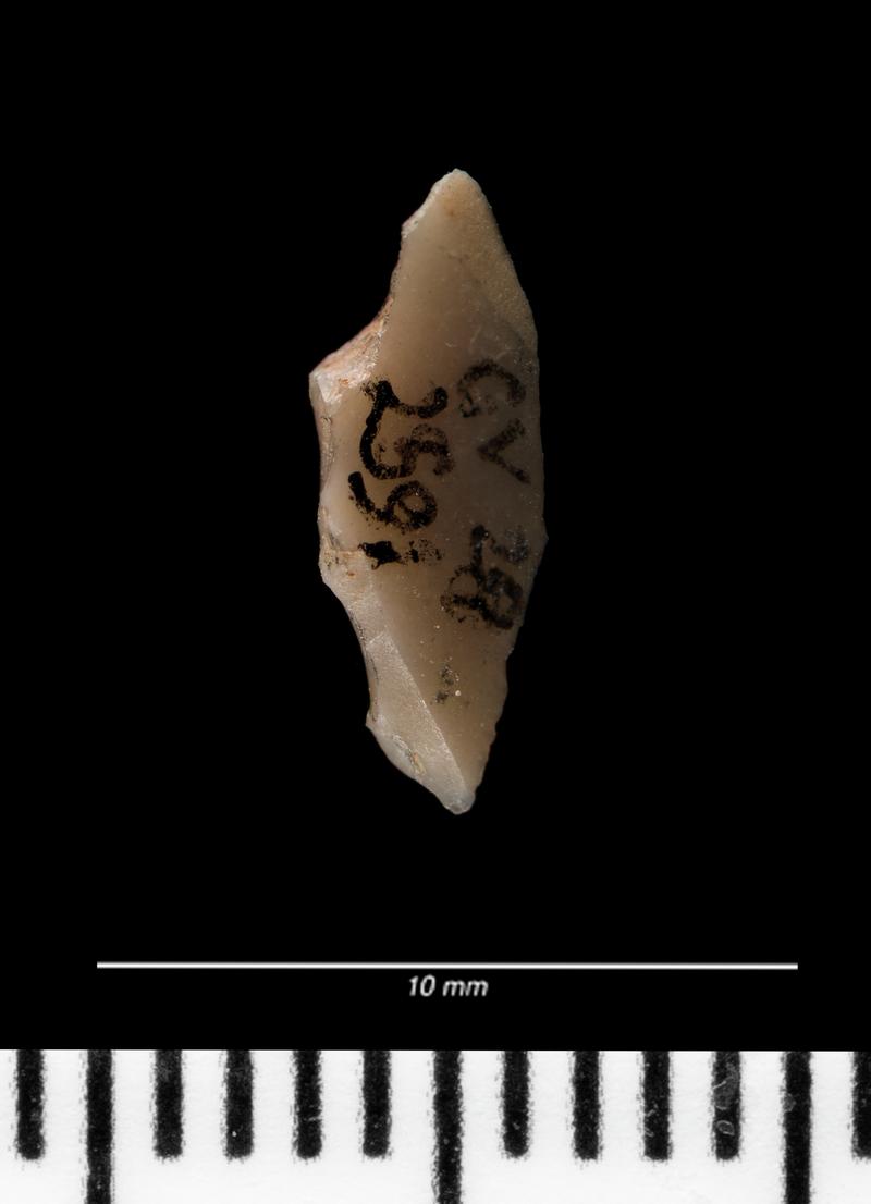 Mesolithic flint microlith