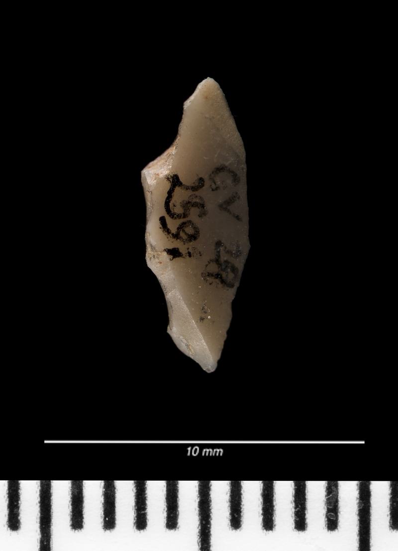 Mesolithic flint microlith