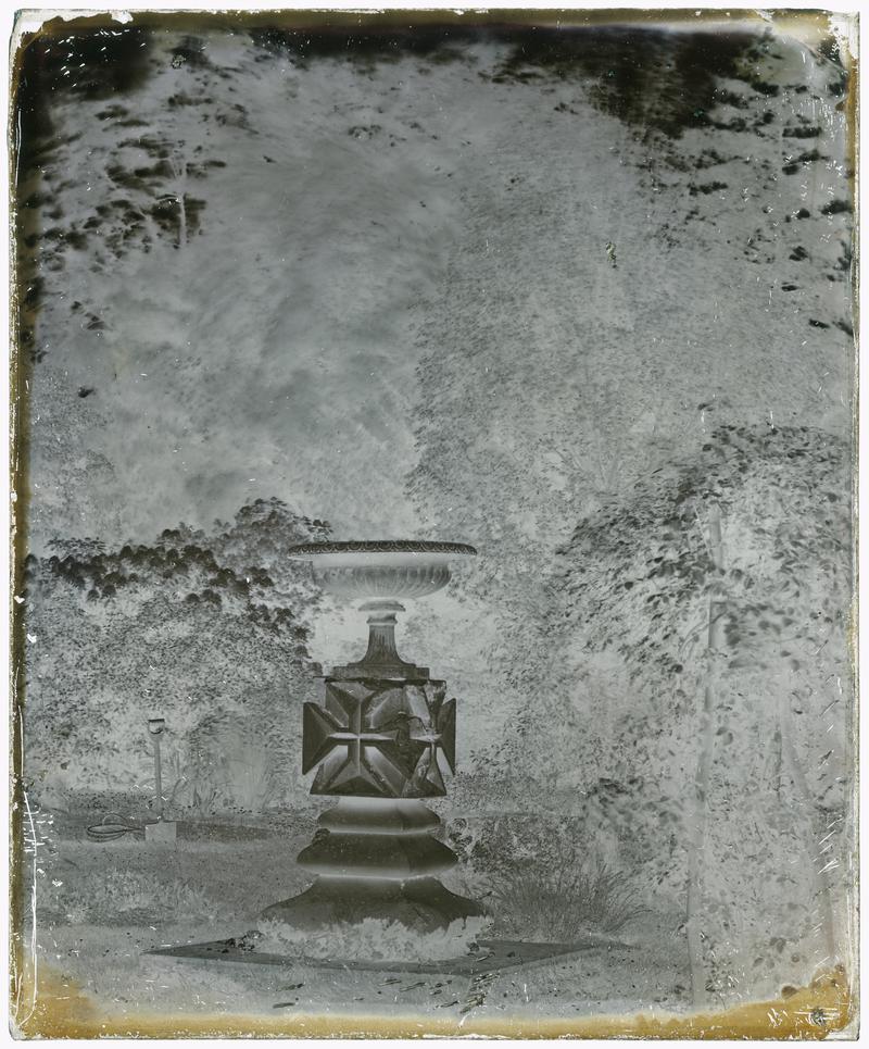 Garden at Lanelay, negative