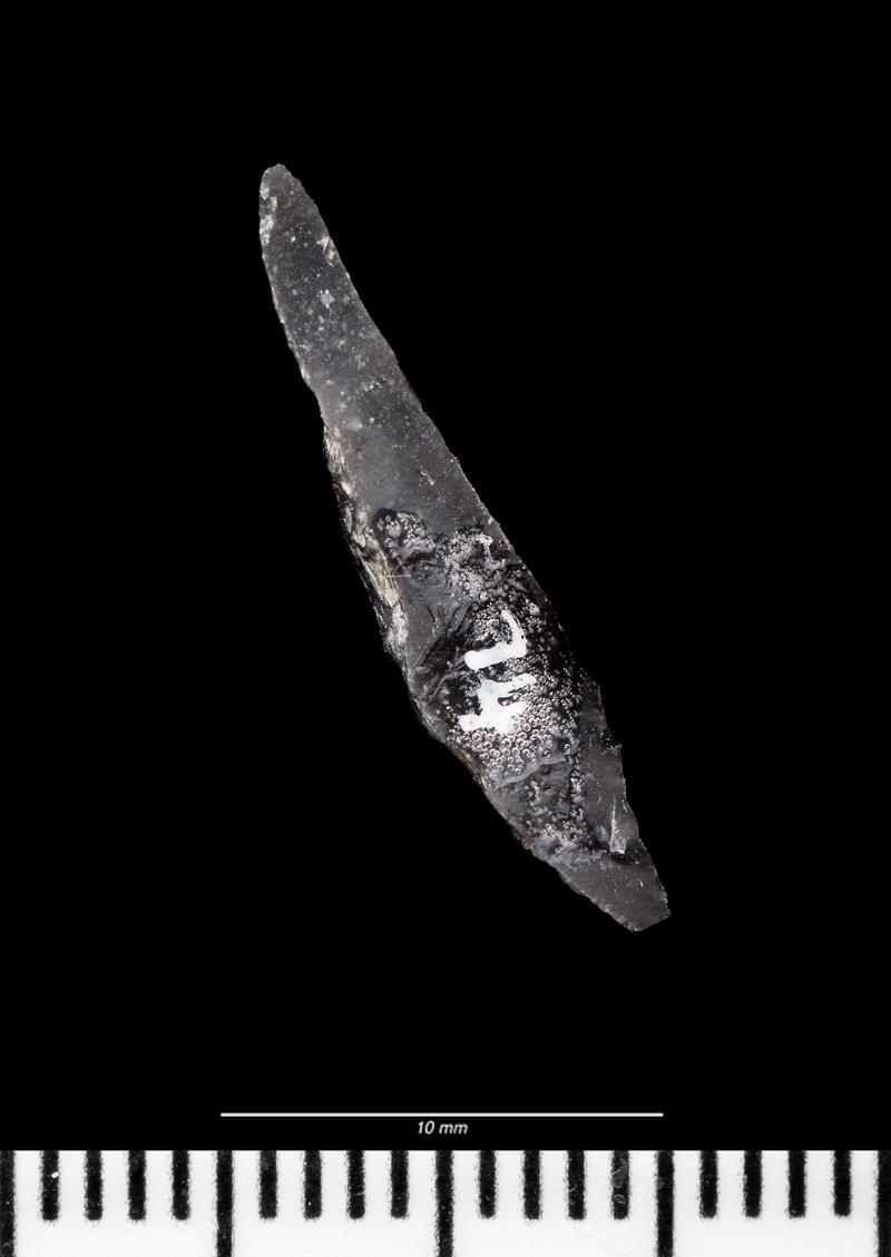Late Mesolithic flint microlith