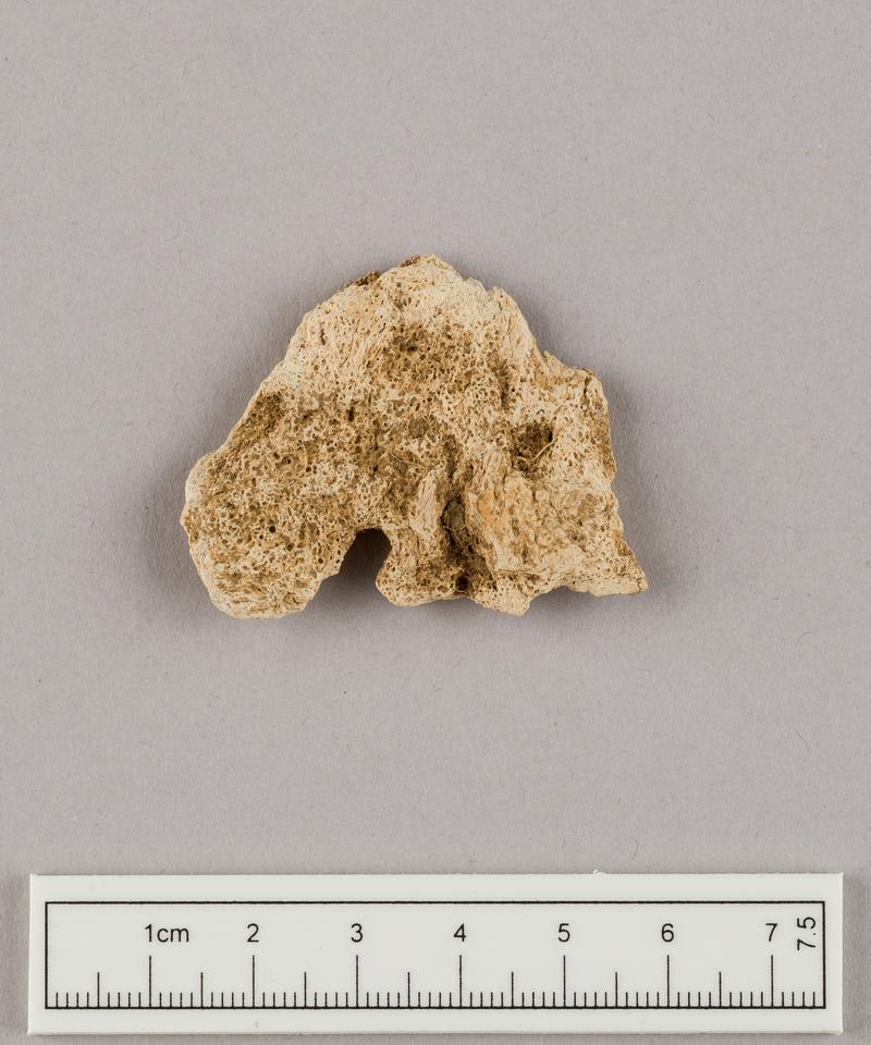 Undated human remains