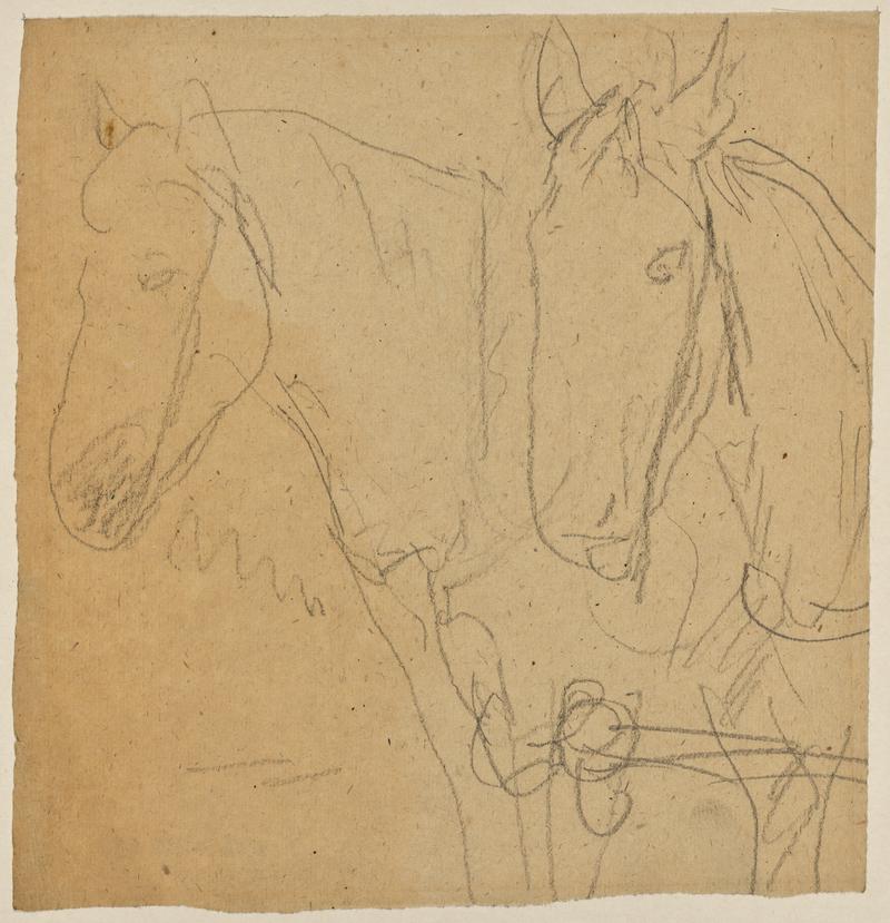 Horses in harness