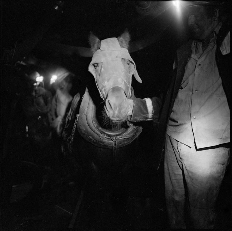 Lady Windsor Colliery, film negative