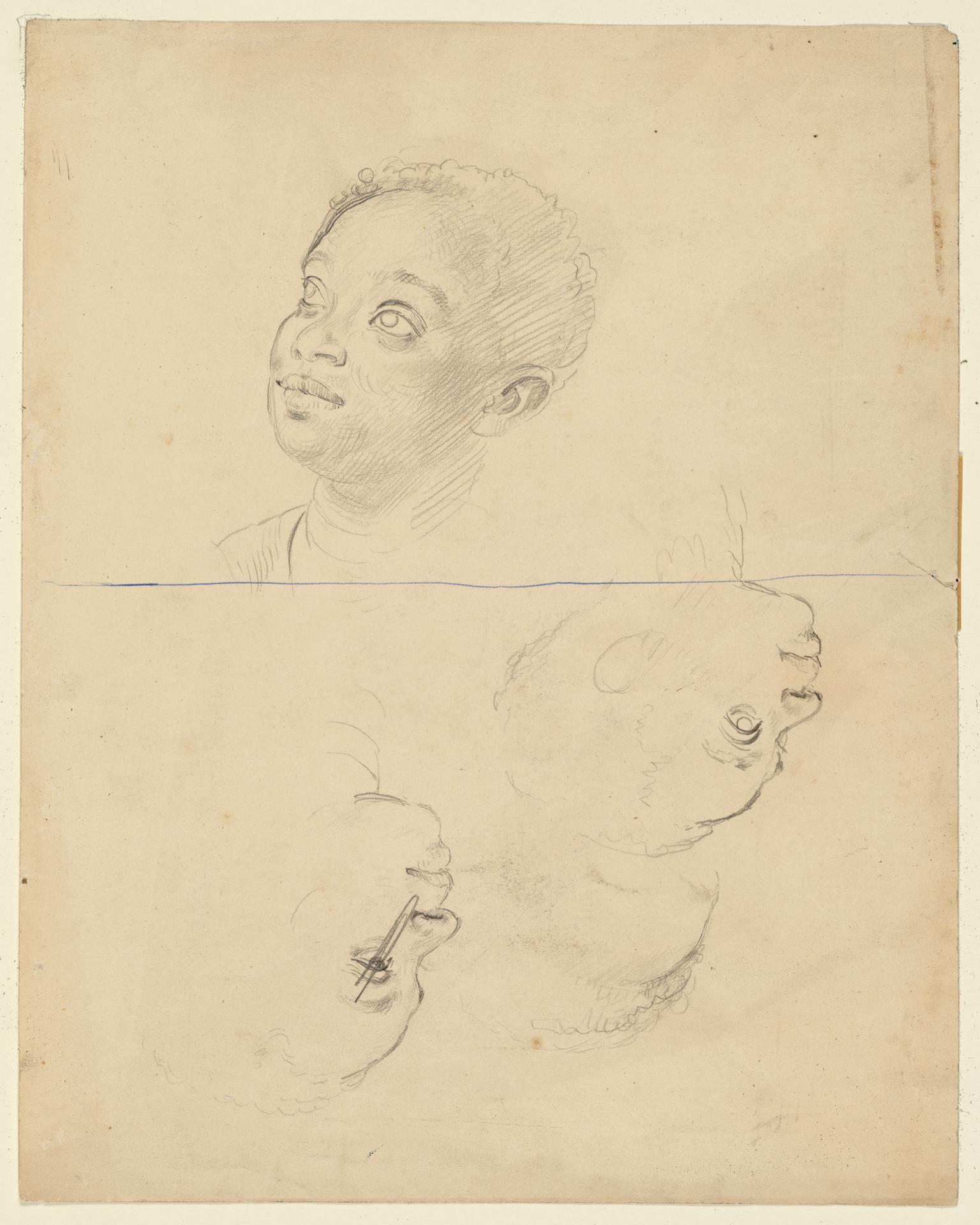 Four Studies of the Head of a Man