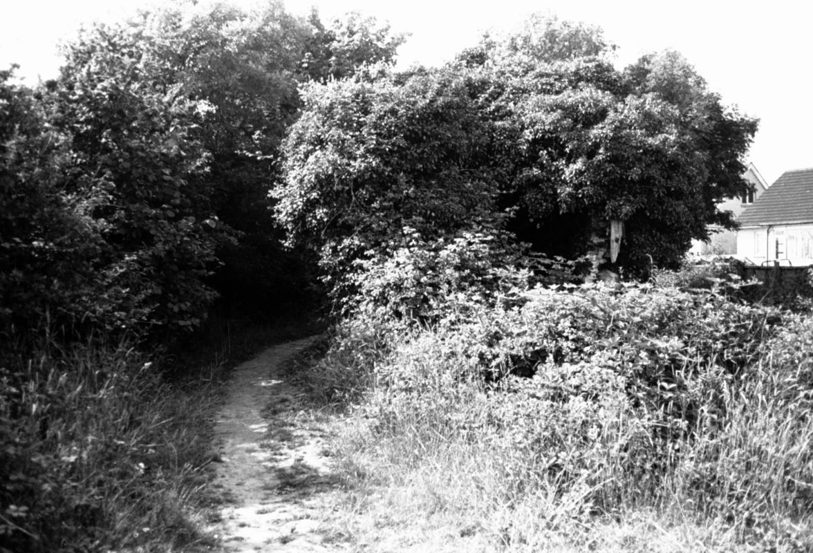Thomas Chapel tramroad, Saundersfoot, photograph