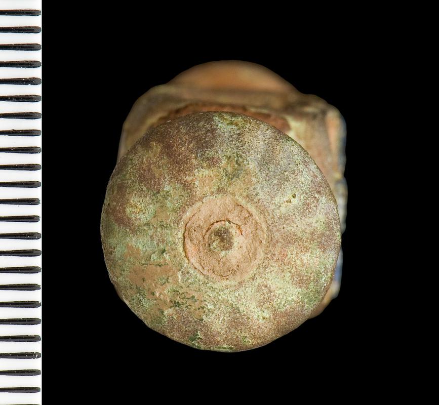 Iron Age / Roman copper alloy toggle