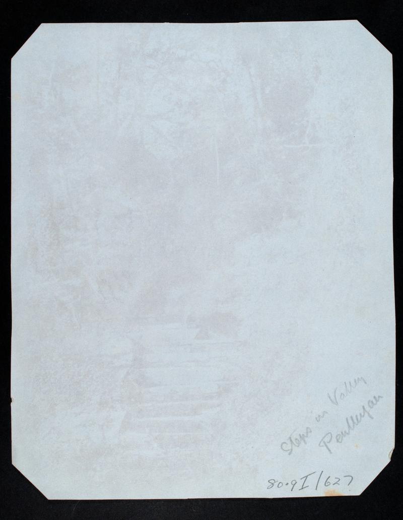 Penllergare, steps in valley, photograph