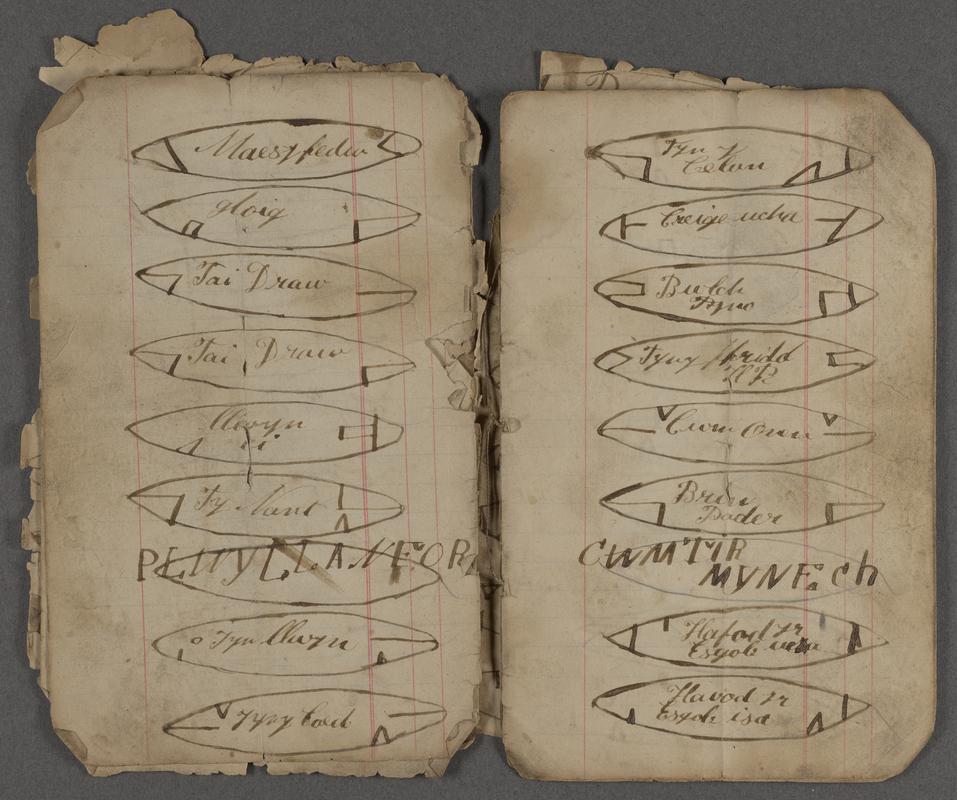 Earmark book