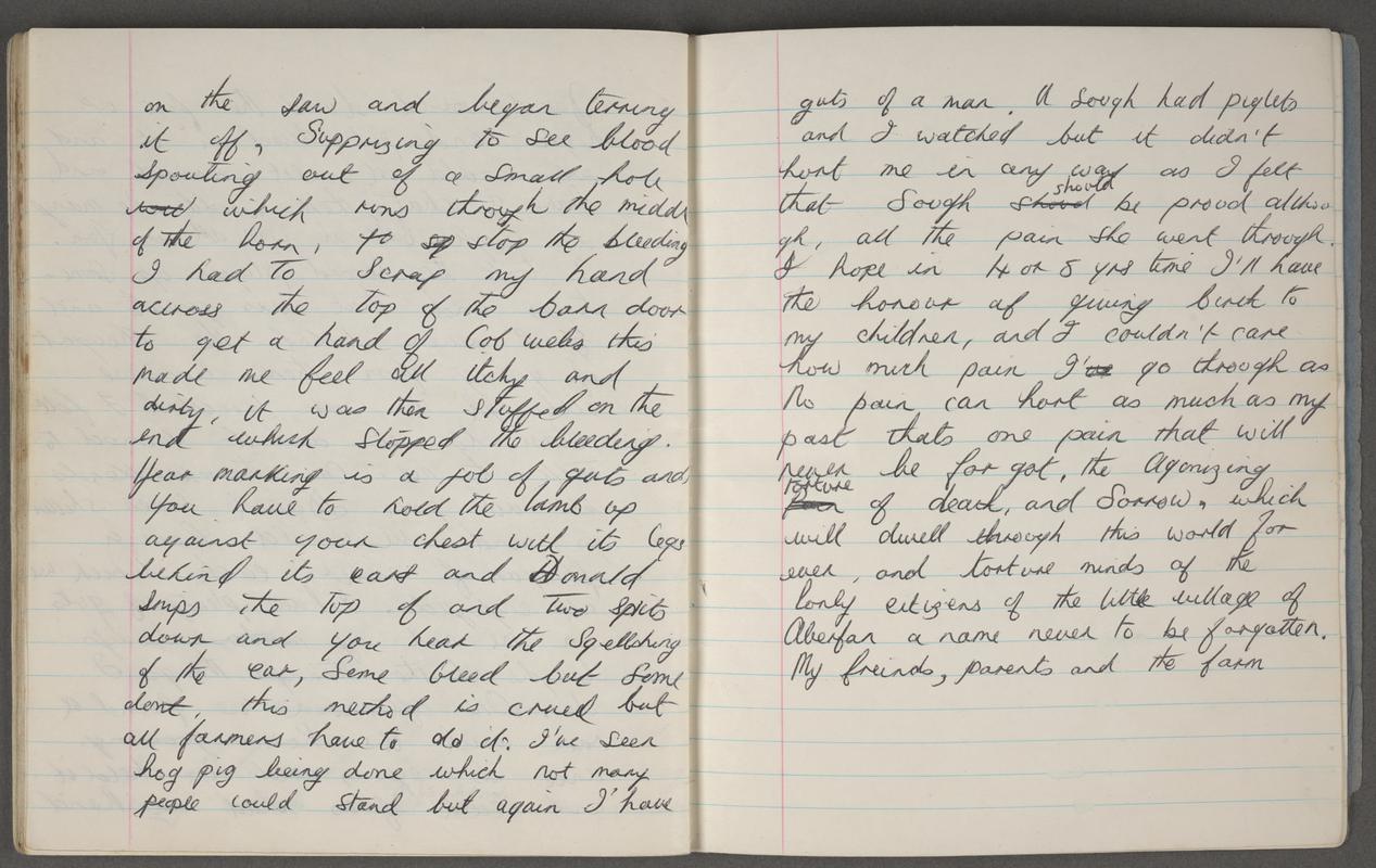 Journal