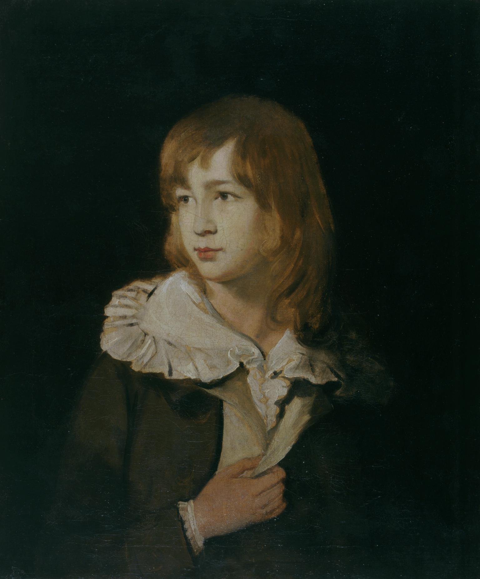 Portrait of a Boy, John Parry of Gardden (b.1777)