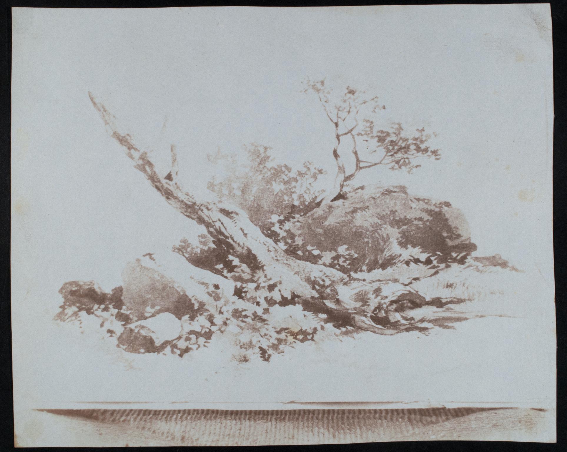 Drawing of rocks and trees, photograph