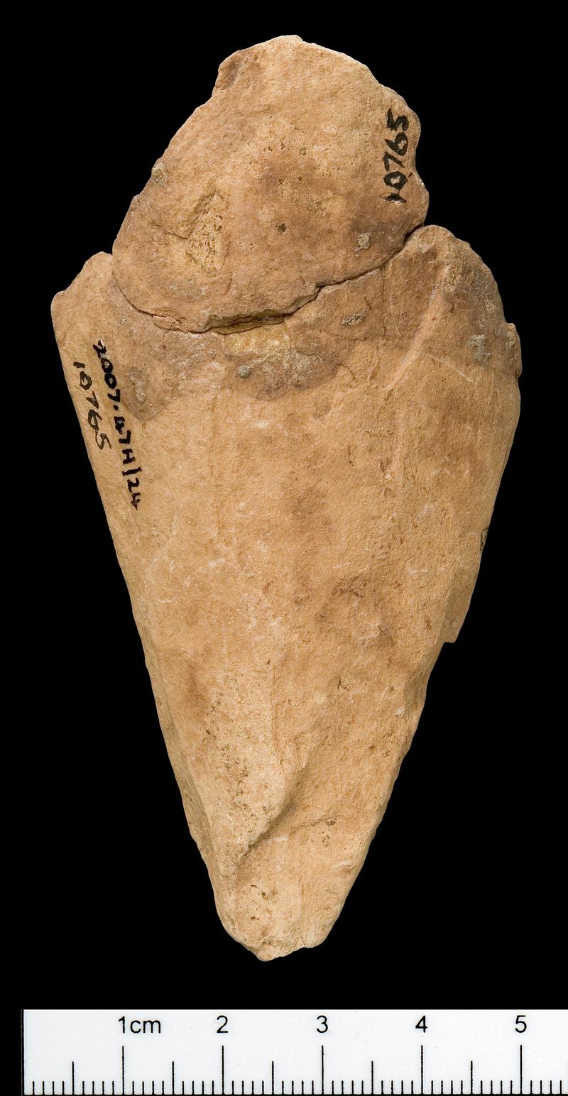 Mesolithic bone scraper