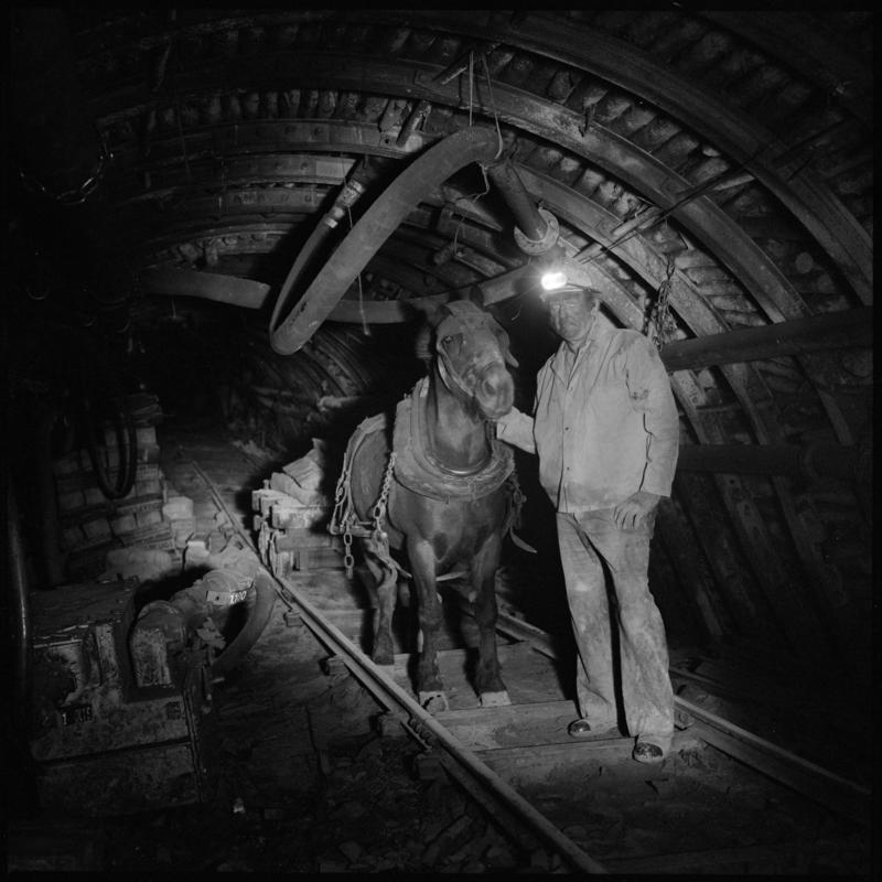 Black and white film negative showing a pit pony and ostler on the supply road in Lady Windsor Colliery.  Appears to be identical to 2009.3/1359.