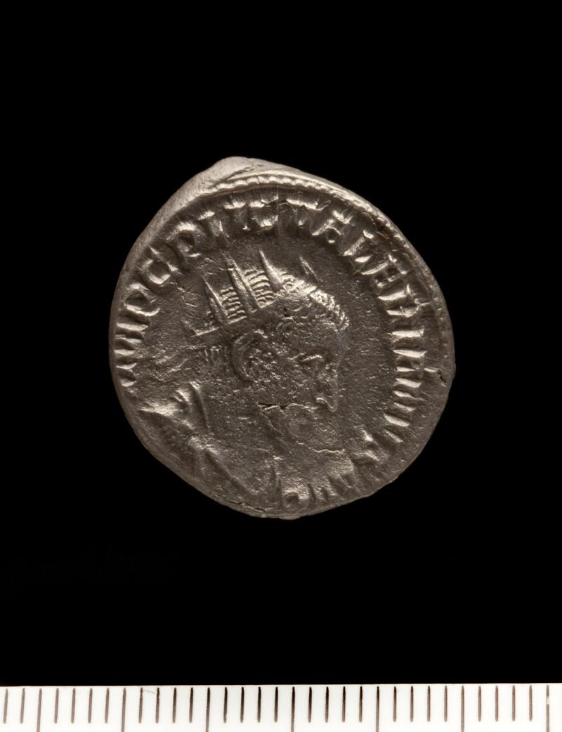 Sully Hoard I (1899)