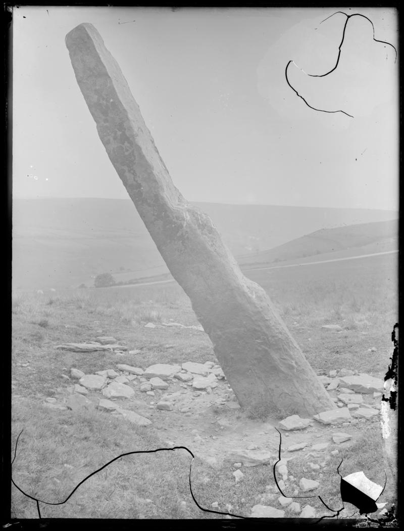 Photographic Negative