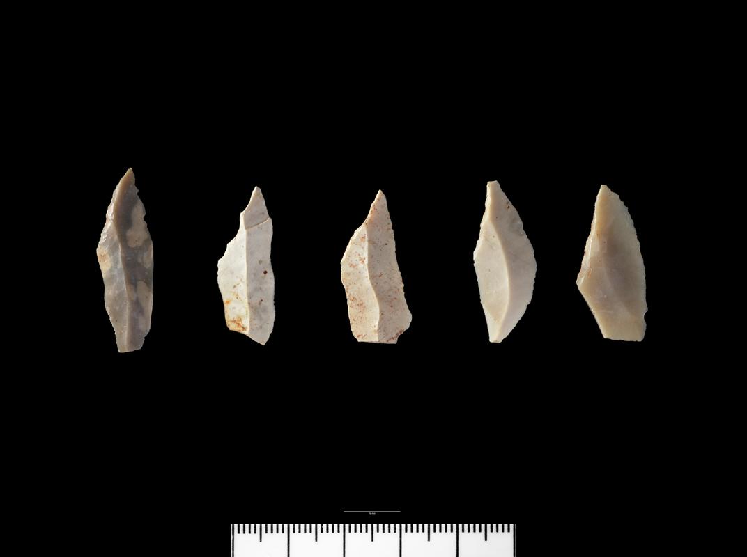 Early Mesolithic flint microlith