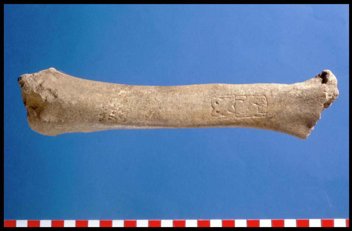 Early Medieval bone trial piece