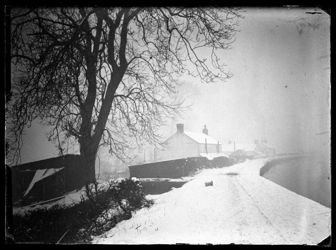 Glass negative - Converted to Positive