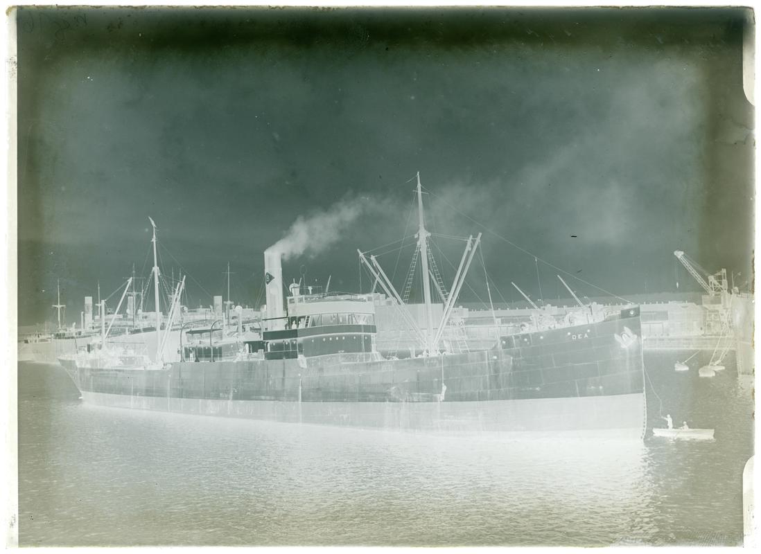 S.S. DEA, glass negative