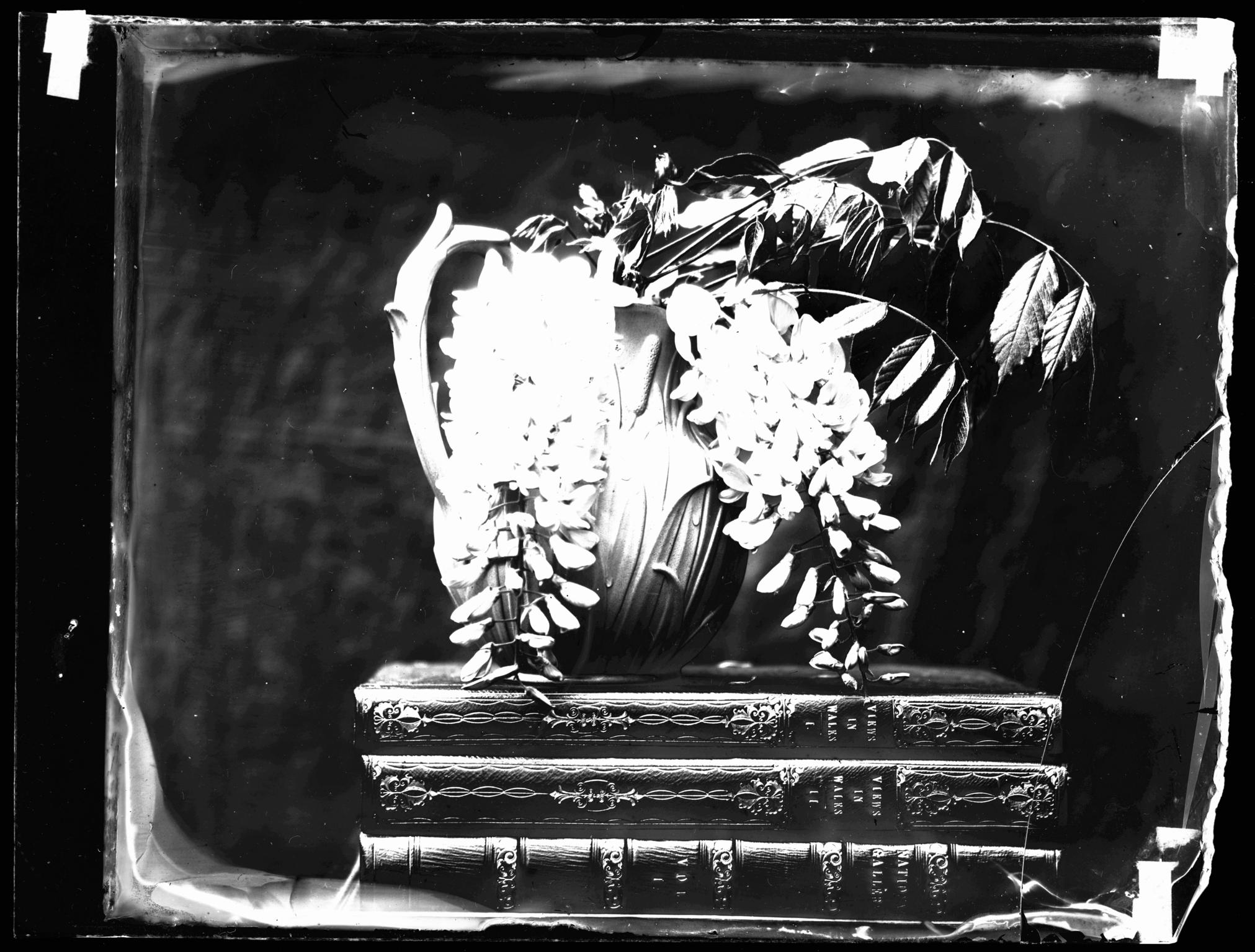 Flowers on a table, glass negative
