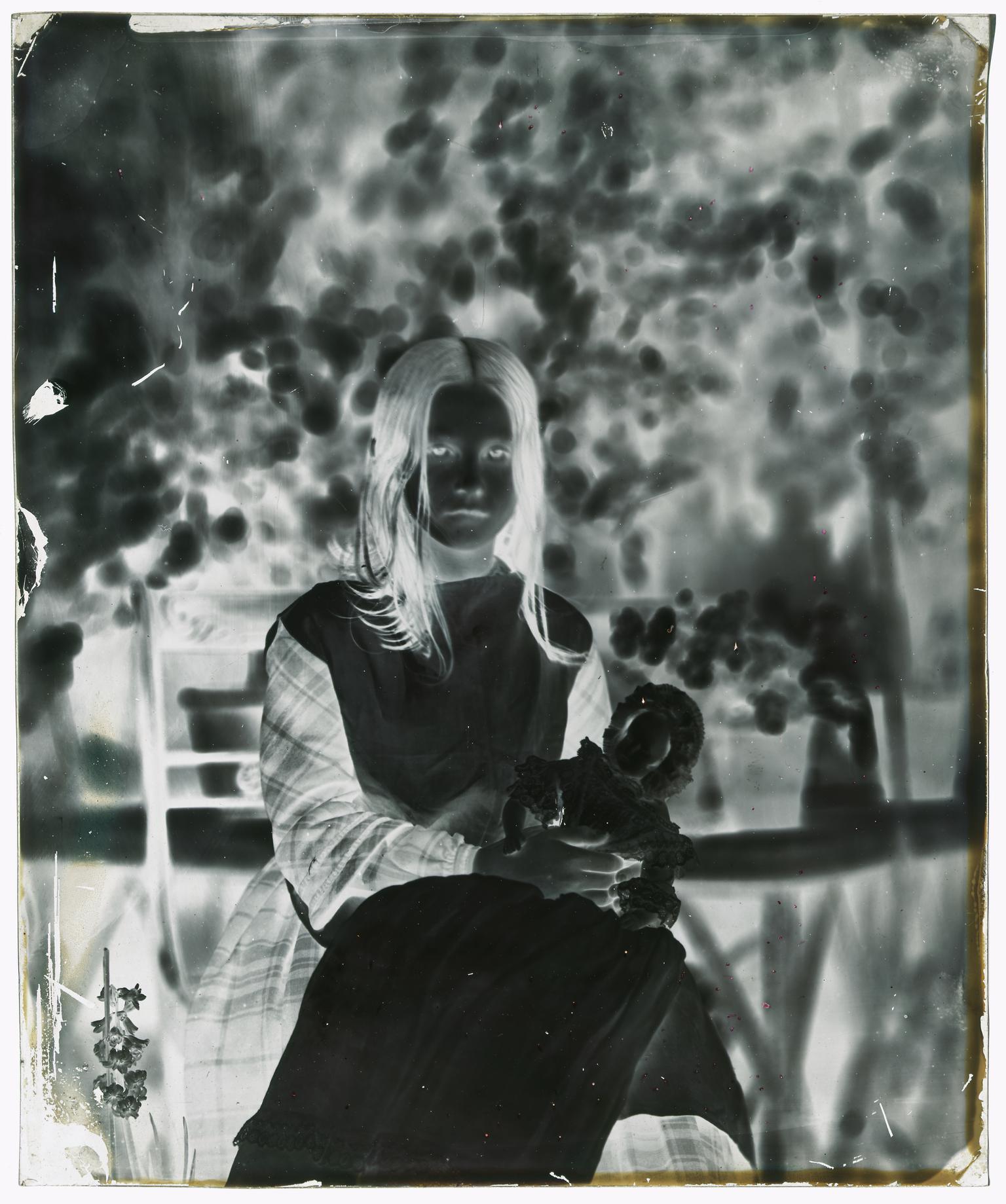 Elinor Llewelyn, glass negative