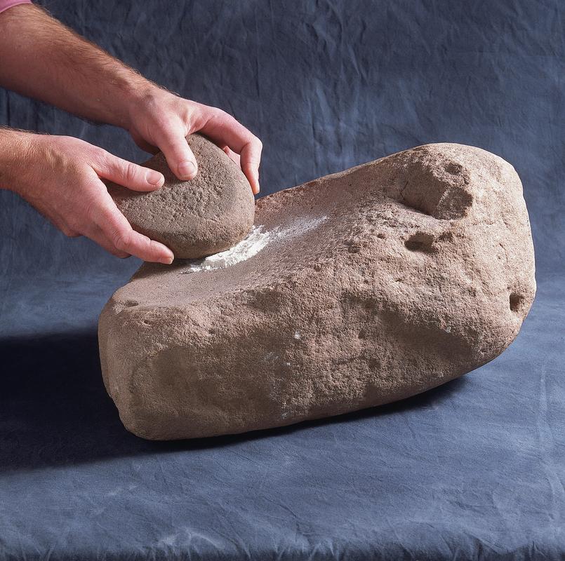 Neolithic saddle quern grain rubber