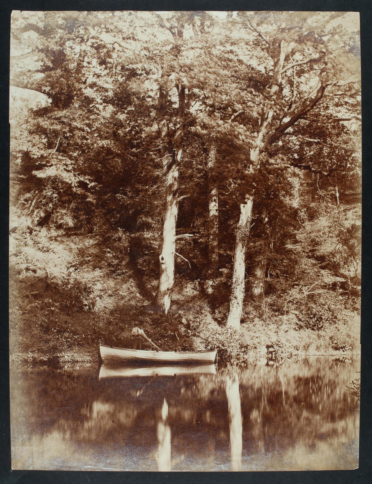 Penllergare, lower lake, photograph