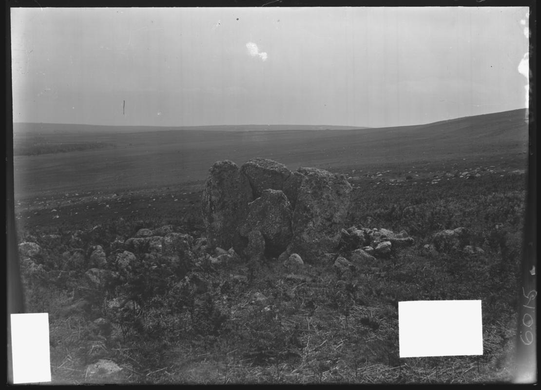 Photographic Negative