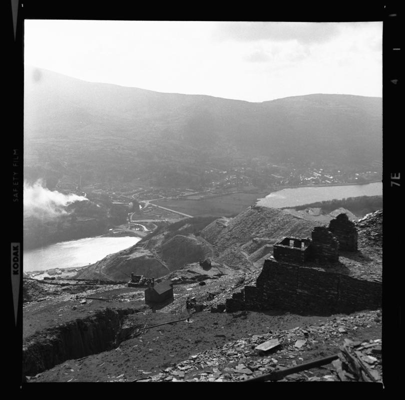 Photograph taken during a &#039;nature trail&#039; around Dinorwig Quarry, April 1976.



2014.35/189-192 appear on the same strip negative.
