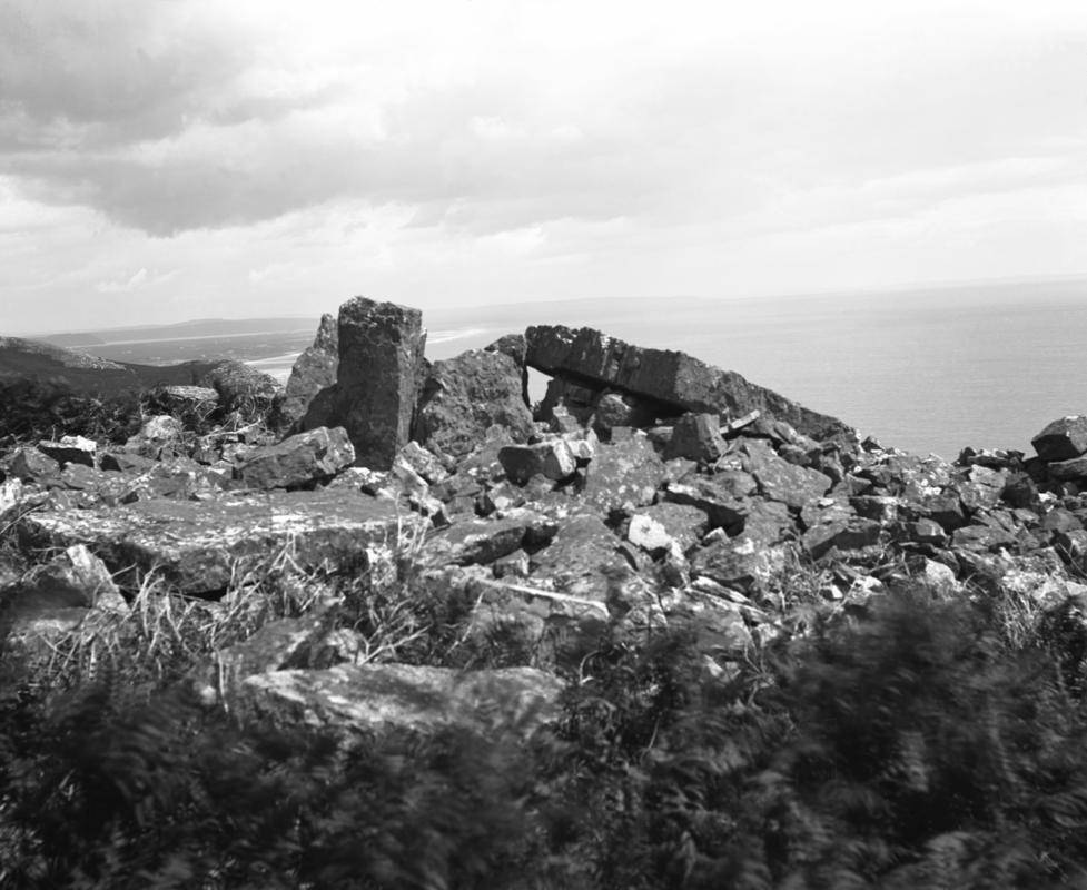 Photographic Negative