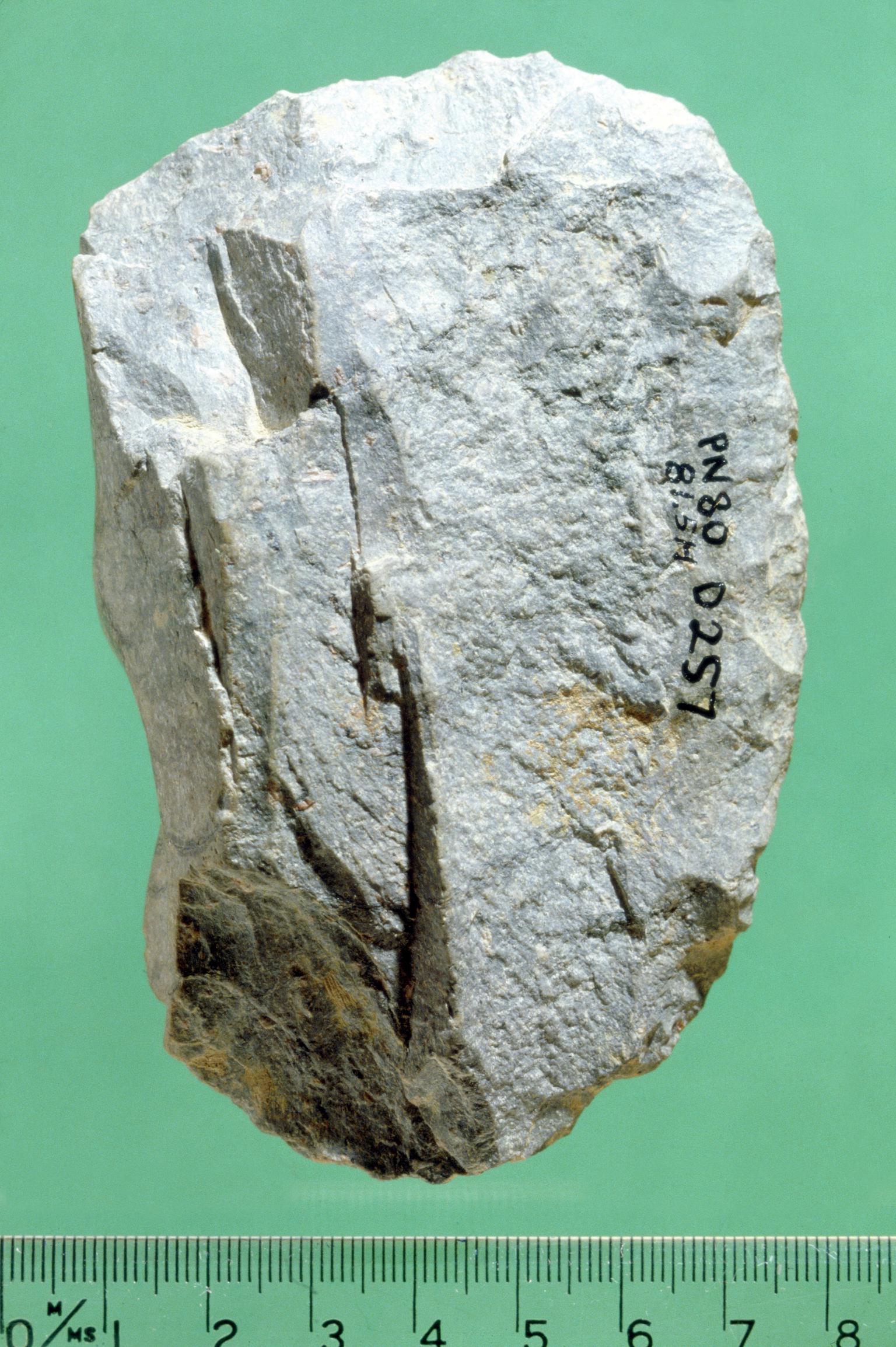 Lower Palaeolithic stone cleaver