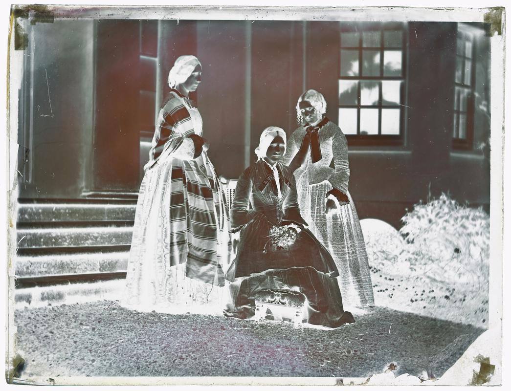 Penllergare, negative