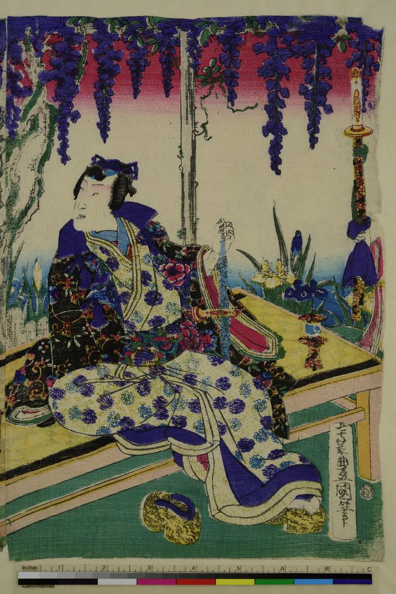 A Daimo in a Garden of Wisteria Blossom