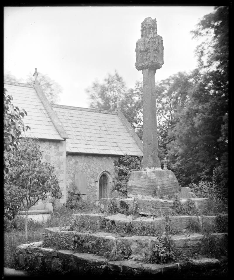 Photographic Negative