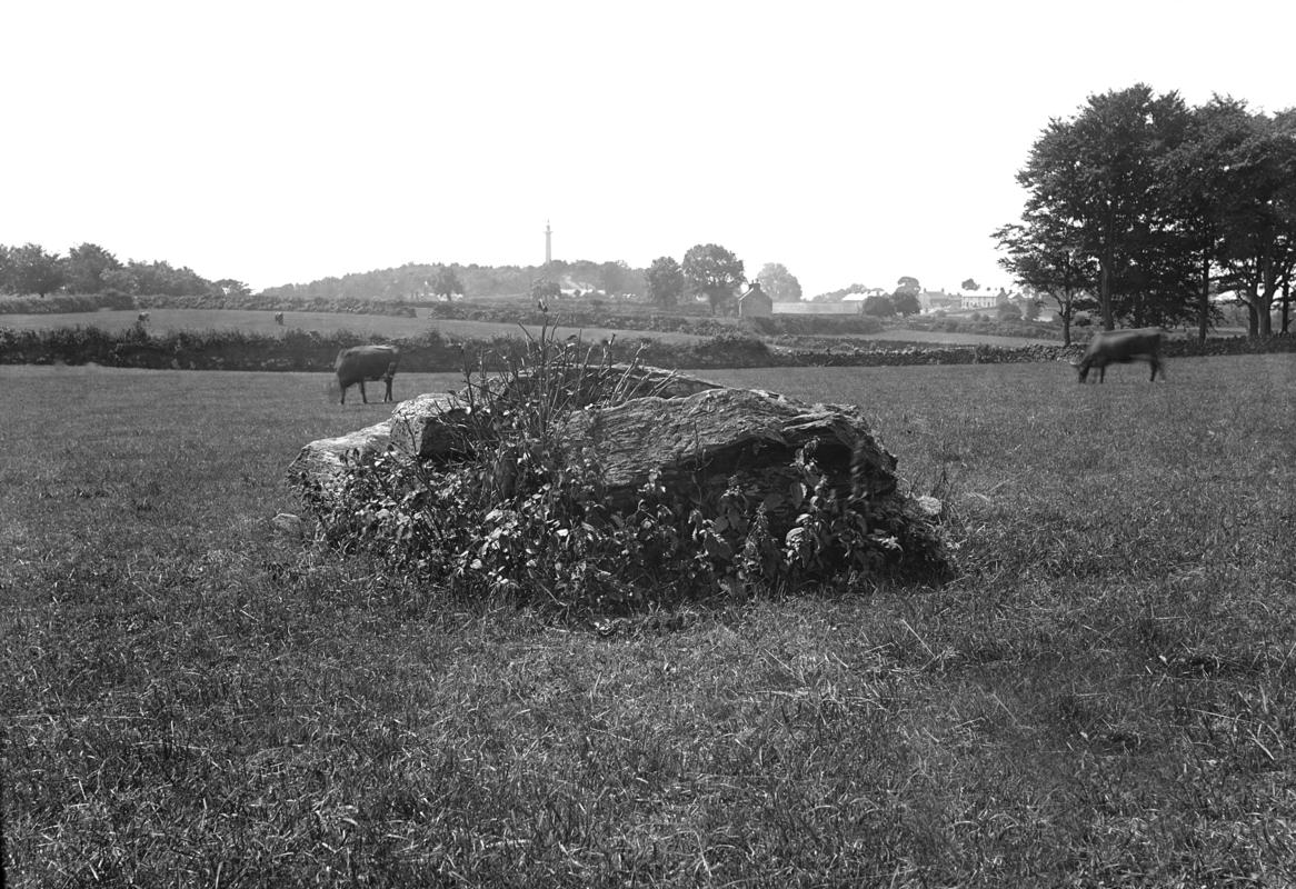 Ty mawr chambered tomb